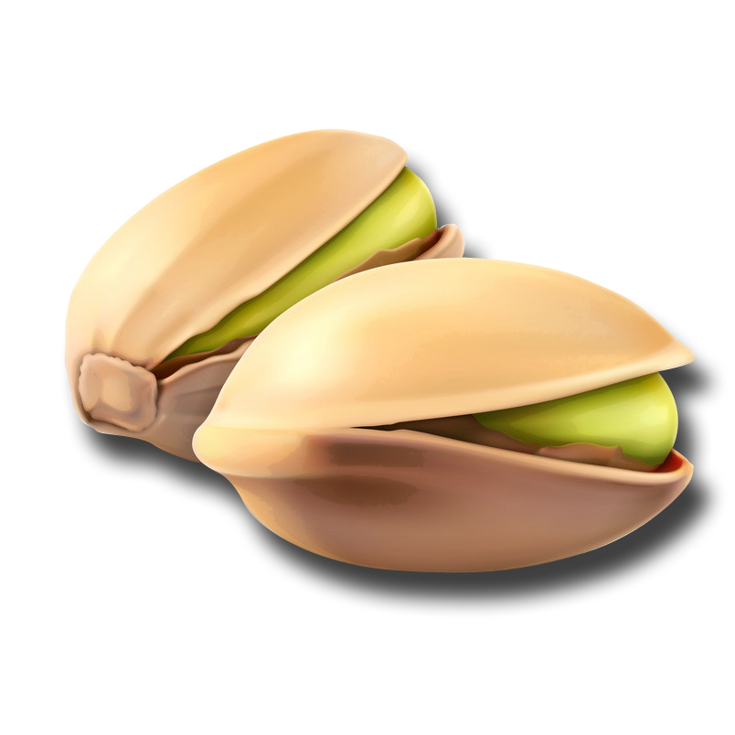 pistachio-nuts-icon-vector-587788033
