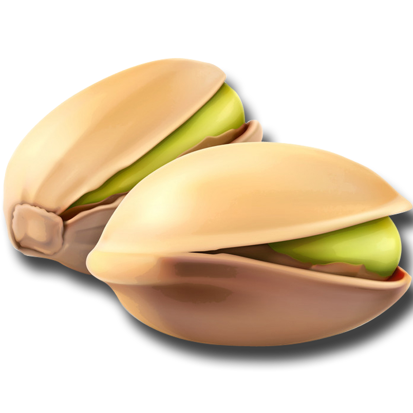 pistachio-nuts-icon-vector-587788033qqq